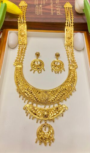 Long exclusive Designer sitahar with earring