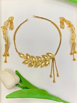 Pata Hasuli with earring