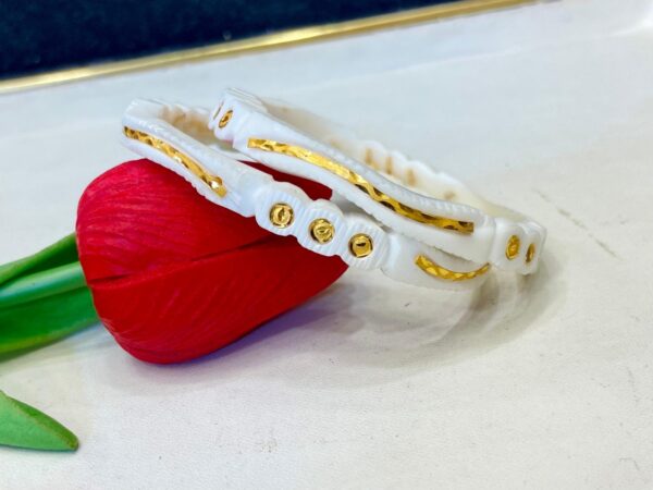 WhatsApp Image 2026-01-06 at 8.59.23 PM Designing Dot Sankha