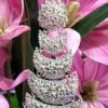 92.5 Pure Silver Stylish Komor Jhapta (CN 30)